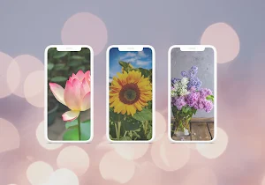 Beautiful Flowers Wallpaper HD Screenshot 2