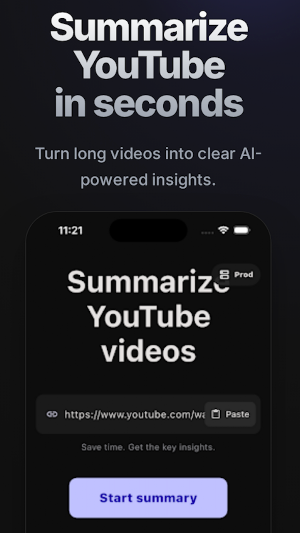 InsightVideo: AI Summary Screenshot 2