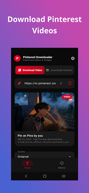 Pinterest Video Downloader Screenshot 0