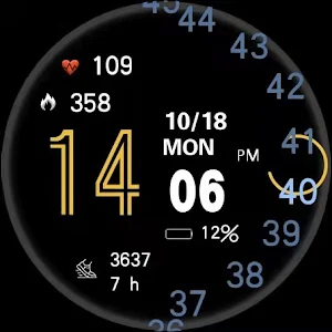 TicWatch Time Trip Screenshot 0