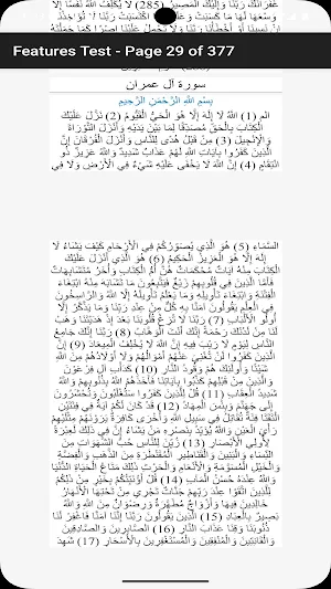 Holy Quran-word zoom Screenshot 3