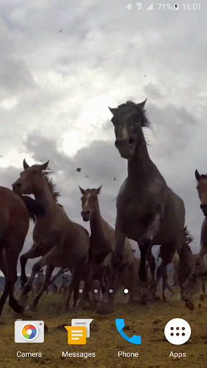 Wild Horses Live Wallpaper Screenshot 3