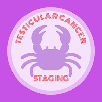 Testicular Cancer Staging: Urology Oncology