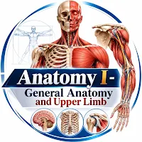 General Anatomy and Upper Limb