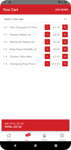The Raj Mahal Screenshot 2
