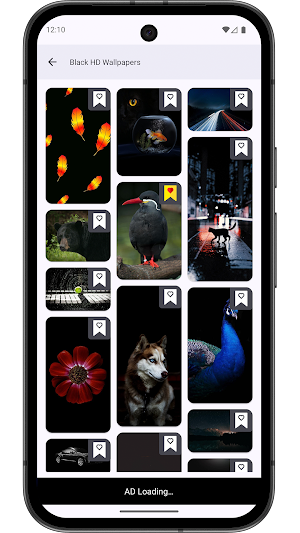 Elegant Black Wallpapers & 4K Screenshot 1