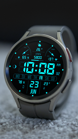 WFP 105 Digital LCD watch face Screenshot 2