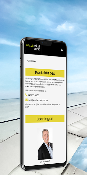 Småland Airport Screenshot 0