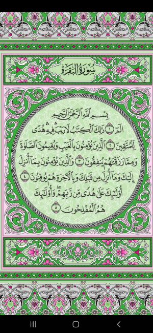 Read Quran Screenshot 1