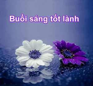 Buổi sáng tốt lành Screenshot 3
