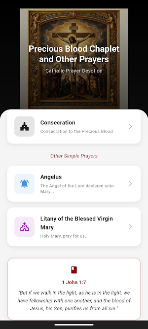 Precious Blood Chaplet Screenshot 0