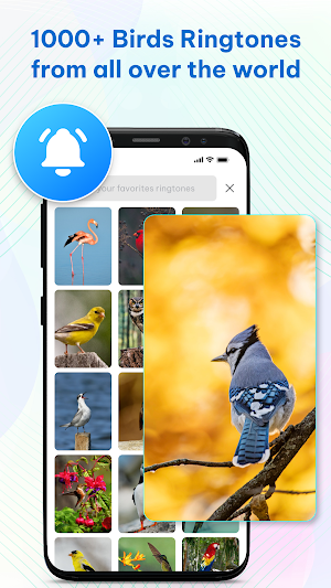 Bird Ringtones & Wallpaper Screenshot 0