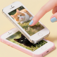 Meow Galaxy Wallpapers
