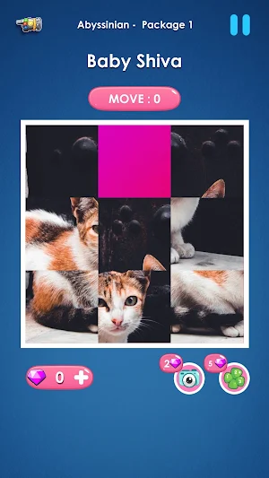 Cat slide puzzle: piece match Screenshot 0