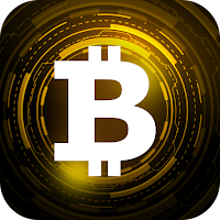 Bitcoin Miner Guide
