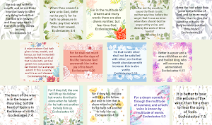 Bible Ecclesiastes Screenshot 1