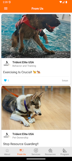 Trident Elite Screenshot 2