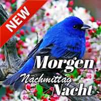 German Good Morning & Good Night Wishes Love