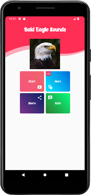 Bald Eagle Sounds Screenshot 0