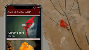 Cardinal Bird Sounds Screenshot 1