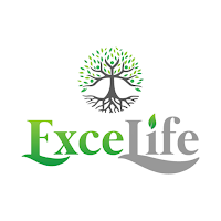 ExceLife Family Social Network