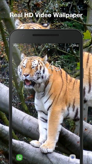 Tiger 3D Live Wallpaper Screenshot 2