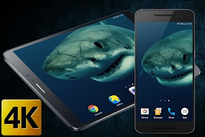 Shark 4K Live Wallpaper Screenshot 0
