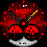 Watch Face WF155