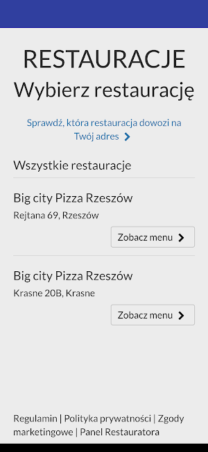 Big City Pizza Screenshot 0