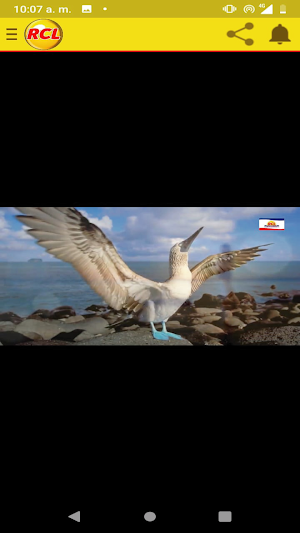 RCL Televisión Screenshot 2