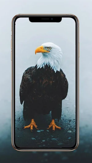 Birds Wallpaper 🕊️ 🦜🐦 Screenshot 2