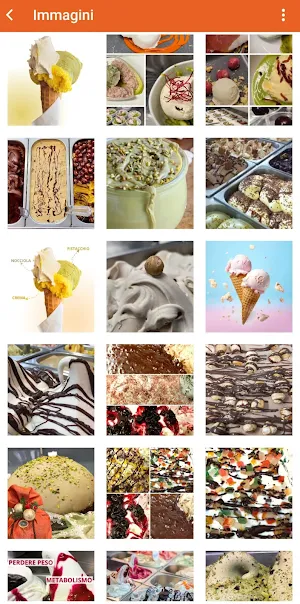 APP Gelateria Bottega G Screenshot 2