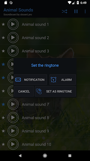 Animal sounds ~ Sboard.pro Screenshot 2
