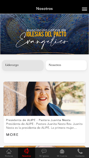 ALIPE Screenshot 1