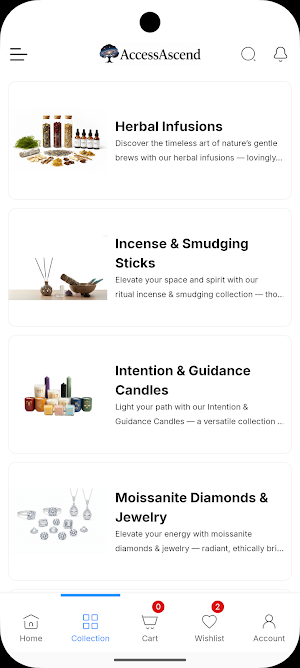 Access Ascend Screenshot 3