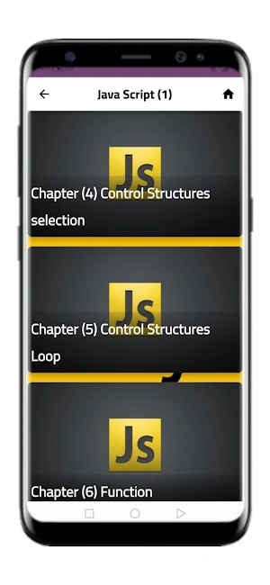 Web Developer Screenshot 3