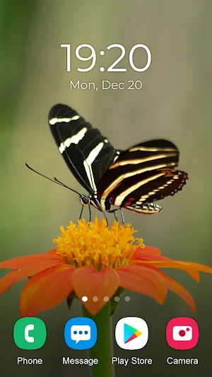 Butterfly Wallpaper 2023 Screenshot 3