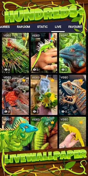 iguana wallpaper Screenshot 2