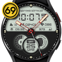 [69D] W2080 hybrid watch face