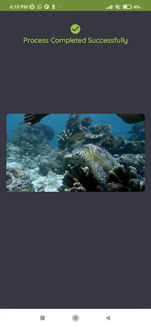 Audio and Video Format Factory screenshot 6