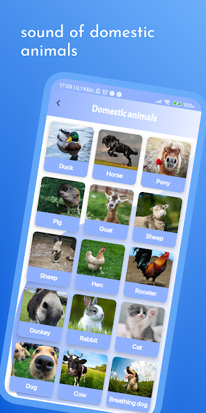 Animaliston Screenshot 2