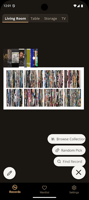 Shelfify - Vinyl Organizer Screenshot 0