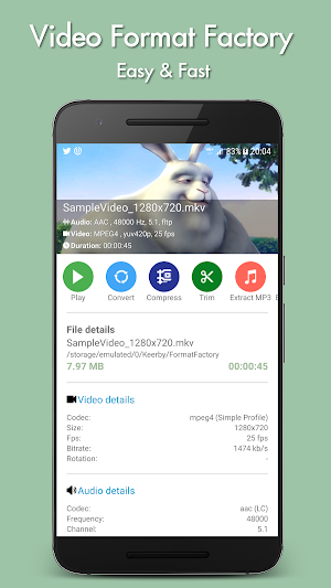 Video Format Factory Screenshot 0