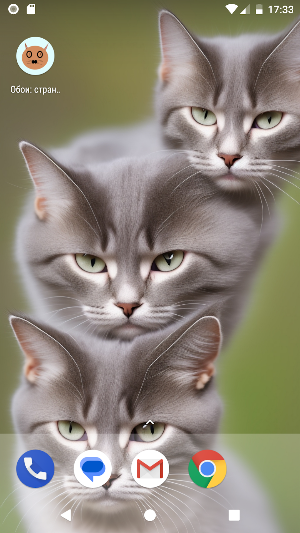 Wallpapers: strange cats Screenshot 0