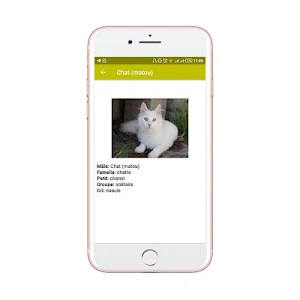 Femelle des animaux- Noms des  Screenshot 2