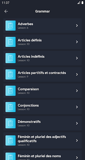 Grammar French exercises Screenshot 1