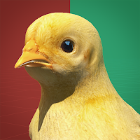 Decision Chicken