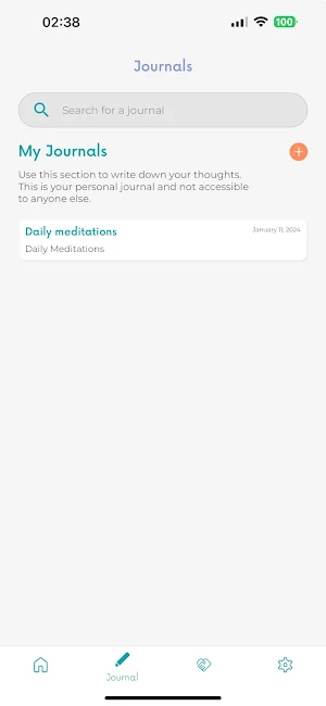 BRIDGES YES Screenshot 3