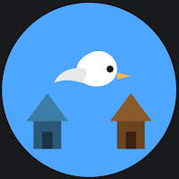 Swift Nest Drift
