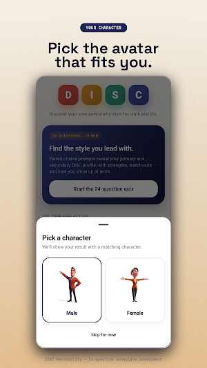 DISC Personality Profile Test Screenshot 2